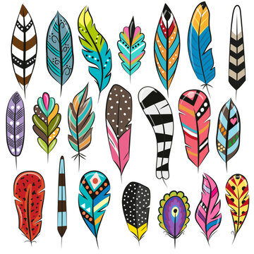 A Set of Cute Cartoon Colored Feathers