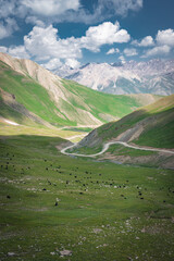 Tian Shan, mountains, Glacier, Kyrgyzstan, Lake, Song-Kul, Song-Kol, Height, 3500 meters, above sea level, 