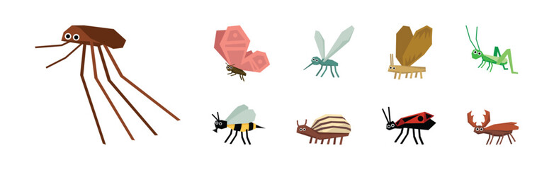 Flat Insect and Cute Garden Crawling Animal Vector Set