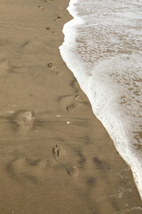footprints on the beach