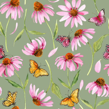Watercolor pink echinacea flowers seamless pattern Hand painted illustration with elegant garden pink daisies flowers to design invitations, postcards and other print