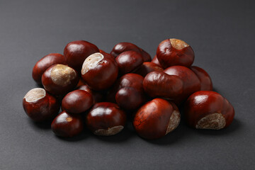 Brown chestnut fruits on a dark background