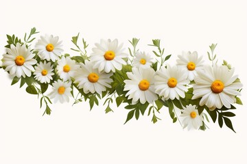 A chain of daisies. Object is isolated with a transparent background. Generative AI