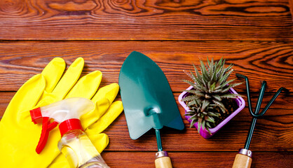 Garden tools on the background of a brown wooden table
