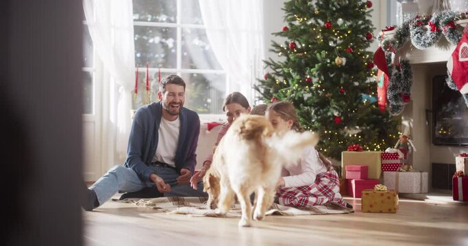 Slow Motion Portrait of Family at Home Sitting Next to a Christmas Tree, Petting Their Purebred Golden Retriever. Cute Pet Receiving a Lot of Love and Treats on Holiday. Family Bonding Together