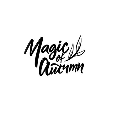 Magic of Autumn hand drawn black color calligraphy phrase.