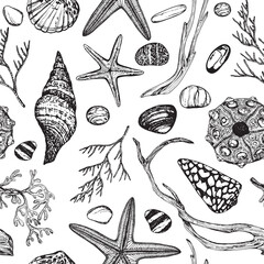 Marine seamless pattern of shells, seaweed, sea urchin, starfish, stones, driftwood. Black and white hand-drawn graphics converted to vector. Designed for design, printing on fabric, prints, wallpaper