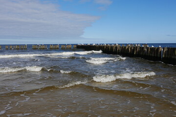 Ostseewellen und Buhnen