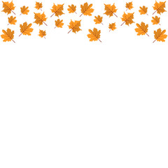 Autumn Leaf Header