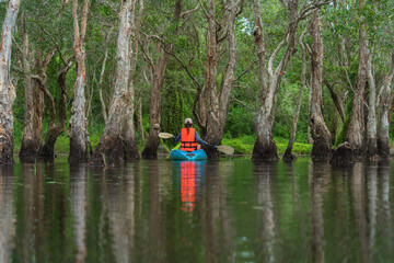 Fototapeta na wymiar Kayak tour at Rayong Botanical Garden, a wetland ecosystem that is open to the public, Thailand