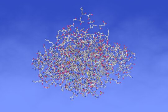 Human quinone reductase 2 (NQO2) in complex with pacritinib. Space-filling molecular model. Rendering based on protein data bank entry 5lbz. Scientific background. 3d illustration