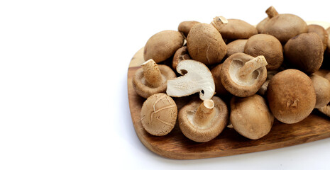 Fresh shiitake mushrooms on white background.