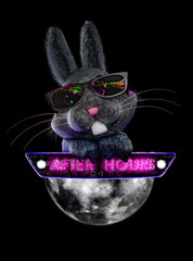 Conejo nocturno