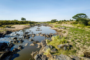 Fototapeta na wymiar Amazing grassland savanna in Africa Kenya