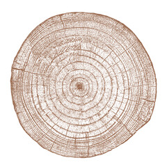 Wood texture cross section of tree rings. Cut slice of wooden stump isolated on white. Textured surface with rings and cracks. Brown background made of hardwood from the forest. Vector illustration.