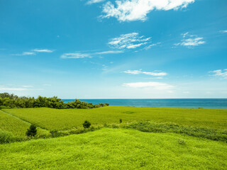 The Scenery of Grasslands and Seashores