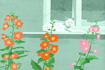 Ilustracja biały kot na parapecie i rosnące pod oknem kolorowe kwiaty malwy.