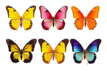 set of butterflies isolated on transparent background