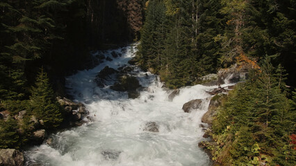 Beautiful bubbling mountain river with green forest. Creative. Beautiful mountain landscape with dense forest and bubbling river. Clear mountain river with fast current boils in forest on sunny day