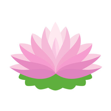 beautiful lotus waterlilly flower art drawn