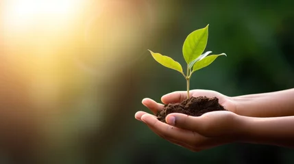 Foto op Canvas hand children holding young plant with sunlight on green nature background. concept eco earth day, Generative AI © Lumina Frame