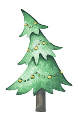 Watercolor Christmas and new year tree, Christmas pine.