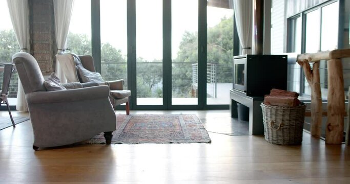 General view of living room with armchairs, fireplace and window, slow motion