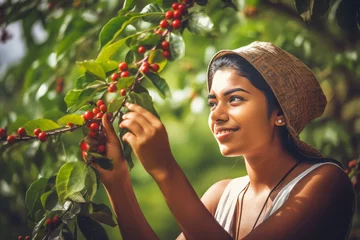 Foto op Canvas Brazilian woman picking coffee plant. People tree. Generate Ai © nsit0108