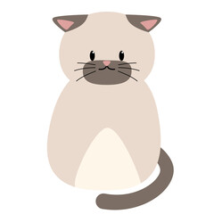 pet, kitten, illustration, character, cat, cute, cartoon, animal, vector, kitty, funny, drawing, art, isolated, clipart, white, happy, design, fun, graphic, smile, sticker, background, adorable, 