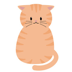 pet, kitten, illustration, character, cat, cute, cartoon, animal, vector, kitty, funny, drawing, art, isolated, clipart, white, happy, design, fun, graphic, smile, sticker, background, adorable, 