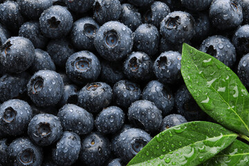 Wet fresh blueberries with green leaves as background, top view
