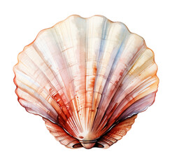 Watercolor illustration of sea shell. Generative AI, png image.