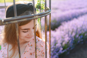 A woman sitting in a metal chair in the middle of a lavender field