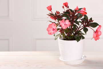 Beautiful impatiens flower in pot on white wooden table near light wall, space for text