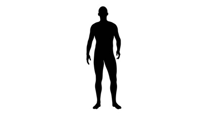 Silhouette of a beautiful young athletic man standing, transparent background. 3d illustration (rendering).