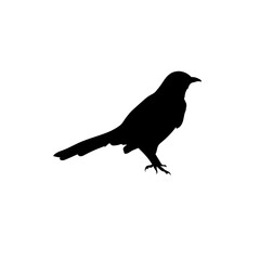 Bird vector png