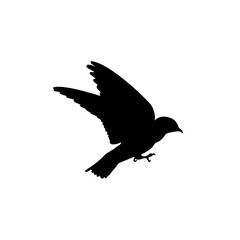 Bird vector png