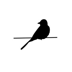 Bird vector png