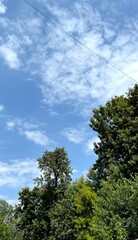 Blue cloudy sky and green trees good weather