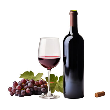 Bottle of Wine Isolated on Transparent or White Background