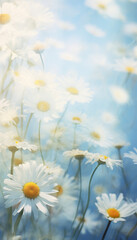 daisies in the sky