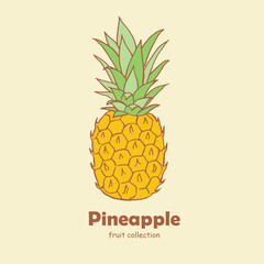 Pineapple, fruit, pineapple illustration, sweet food, dessert, vegetarian food, vector illustration	