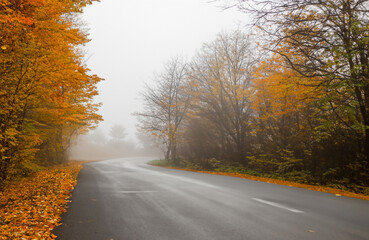 Naklejka na ściany i meble Atmospheric and very beautiful long road without car in autumn season with colored trees and foggy weather