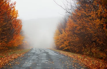 Fotobehang Atmospheric and very beautiful long road without car in autumn season with colored trees and foggy weather © Loucine