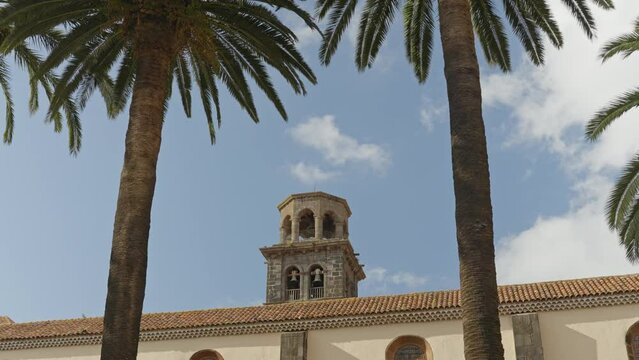 Iglesia De La Concepcion in Madrid Spain, handheld tilting shot from palm leaves toward the tower
