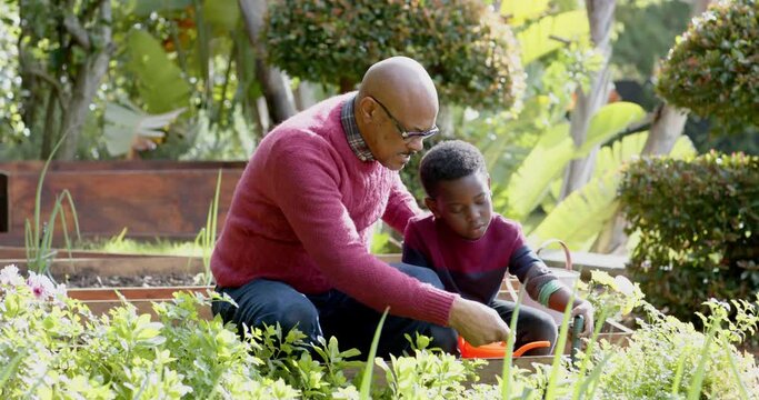 Happy african american grandfather and grandson gardening and talking in sunny garden, slow motion