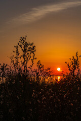 Zach&oacute;d słońca