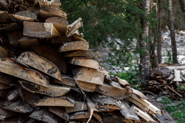 Family with small yellow dog embracing at hill and looking at sunset