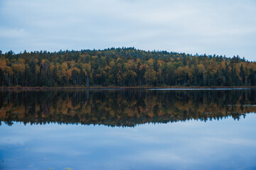 fall forest is reflecting in the lake 