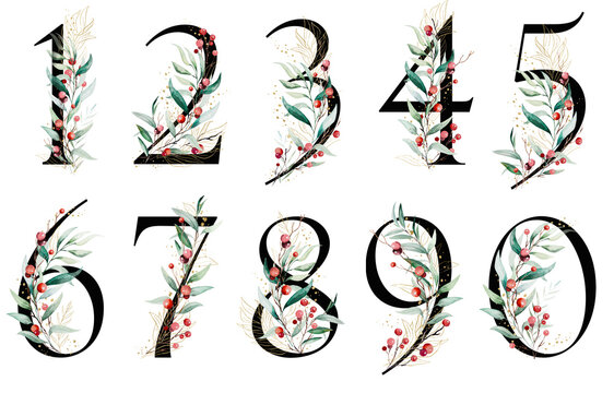 Black numbers with watercolor twigs with green leaves and red berries, Christmas isolated Illustration